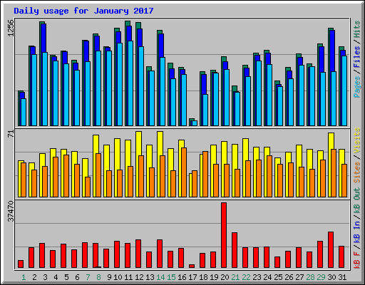 Daily usage for January 2017